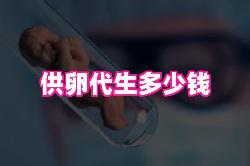 swisee孕网 3