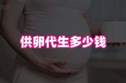 swisee孕网 4